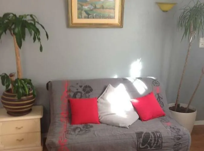 شقة Petit Douillet Tres Bien Situe